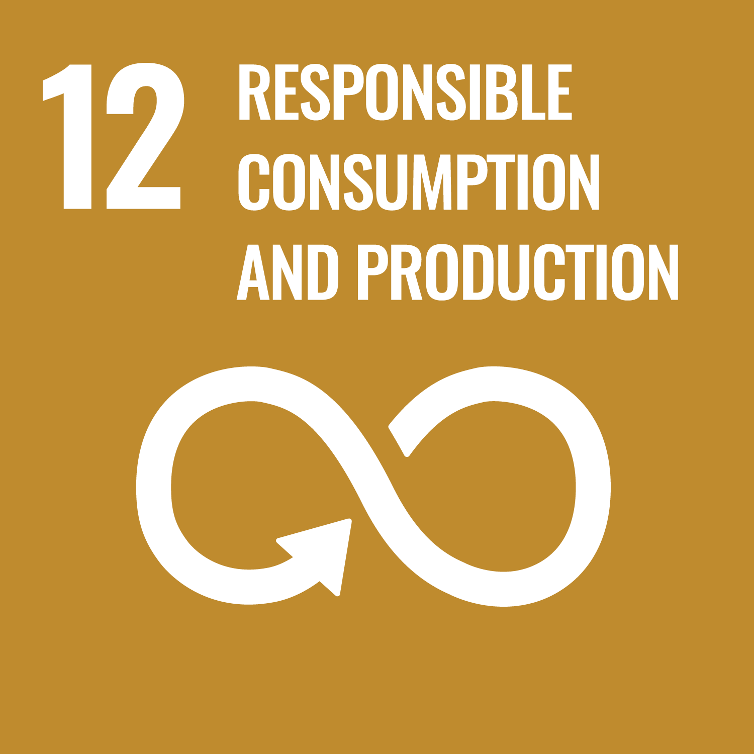SDG 12 Responsible Consumtion and Production